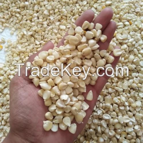 White Corn Grains Food Grade 