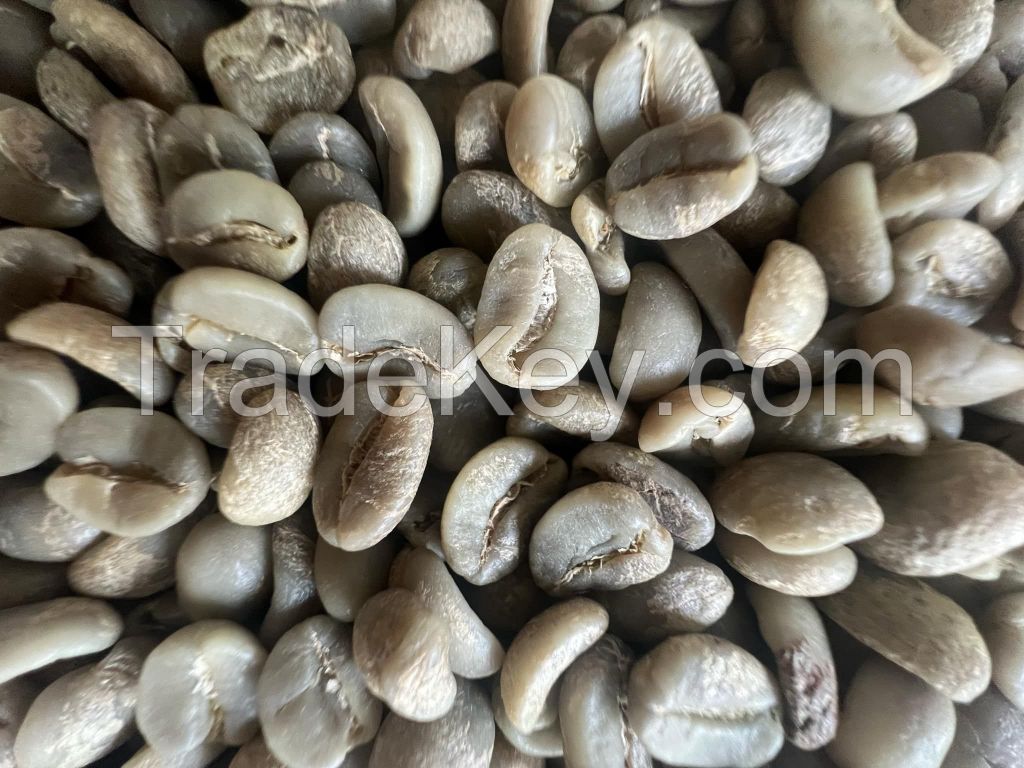 Coffee Beans (Robusta, Excelsa, Liberica and Arabica