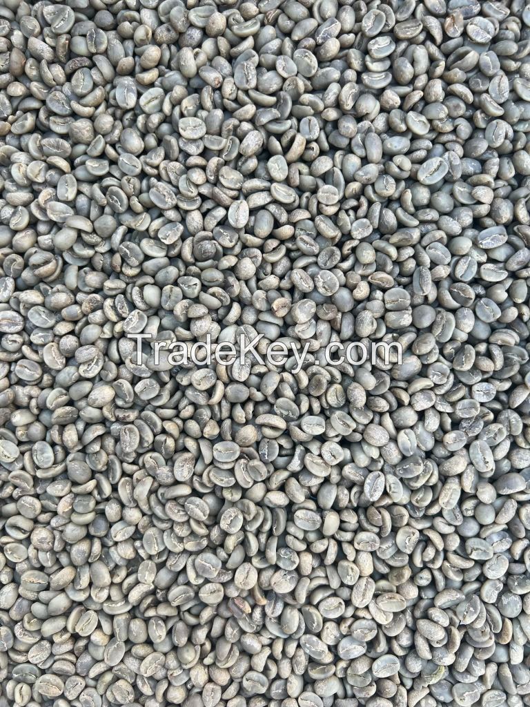 Top Quality Premium Grade Green Coffee Bean Factory Supplier Best Price 100% Natural Pure Green Coffee Bean