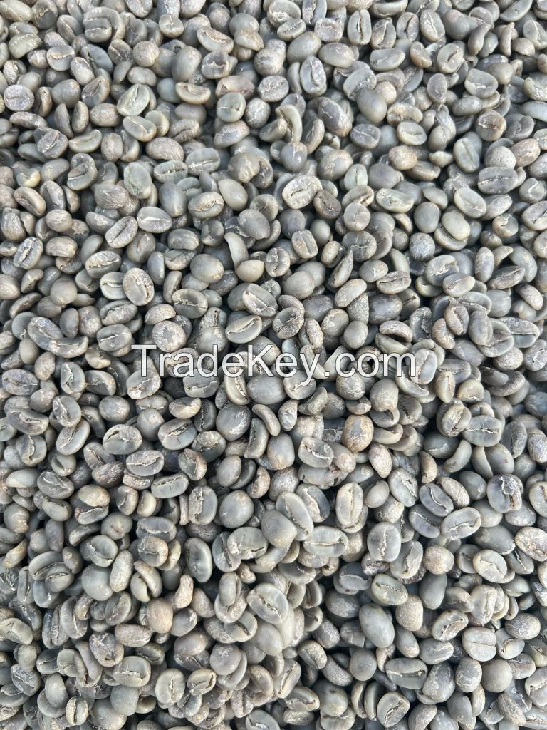 Coffee Beans (Robusta, Excelsa, Liberica and Arabica