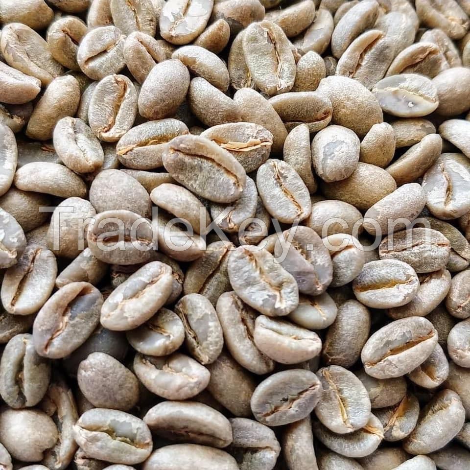 Freshly Roasted Arabica Coffee Beans - Best quality