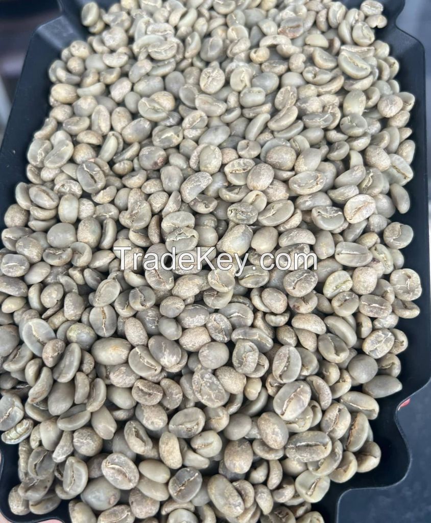 Premium Arabica &amp; Robusta Roasted Coffee Beans with Kosher Certificate