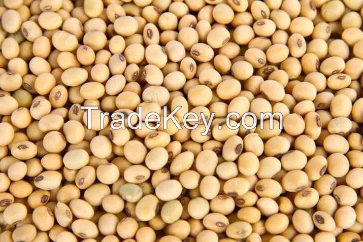 NON-GMO yellow Soybean / soya bean for oil/tofu/animal feeds