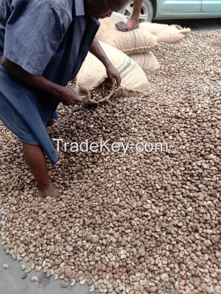 Cashew Nut Raw Bulk Cashews Raw Cashew Nuts Prices Offered Dried Fruits Nuts