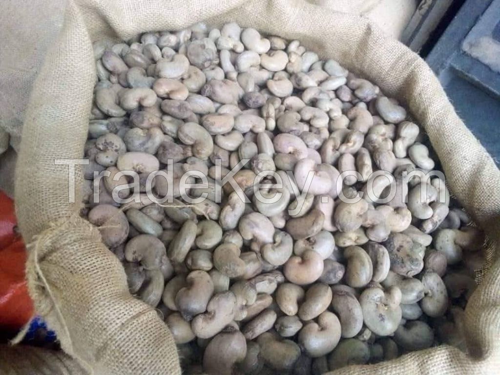 High Quality Cashew Nut Vietnam W180 W320 W450 Healthy Raw Cashew Nuts ISO 9001:2008, HACCP 