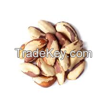 100% High Quality Raw Brazil Nuts For Sale