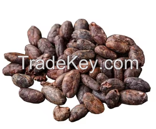 Top Quality dried Raw Cocoa Beans coco bean With Best Quality