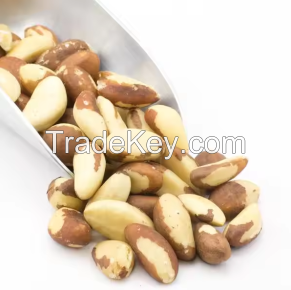 Best Quality Brazil Nuts raw from top exporter