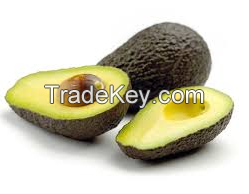 Quality Wholesaler Hass Avocado good Quality Fresh green avocado