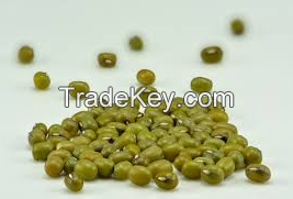 Supply Best Selling Natural MUNG Beans In Wholesale