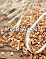 BUCK WHEAT Grain Roasted For Wholesales