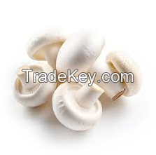 100% High Quality And Fresh Mushrooms In Cheap Price