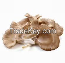 Wholesale Buyers Frozen Oyster Mushrooms Of Price