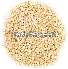 Factory Manufacturor Organic Quinoa Seed