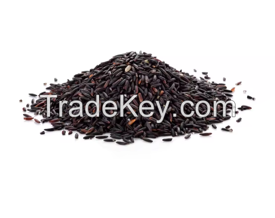 Pure Natural Black Rice for sale in good price