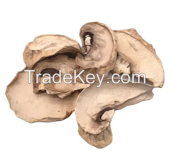 Wholesale Dried Mushrooms In Best Price