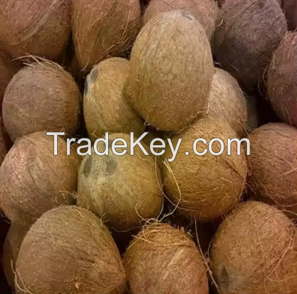 Quality Dried And Fresh coconuts Available