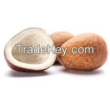 High Quality Dried Coconuts Available In Best Price