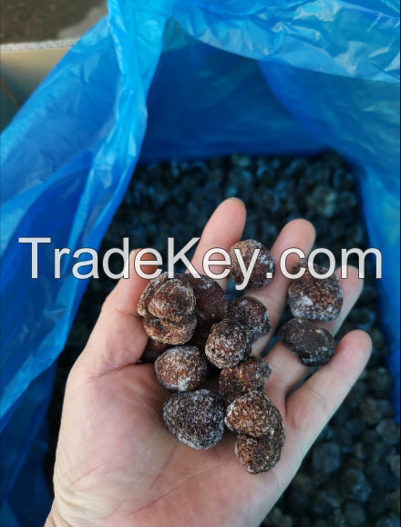 High Quality Black Truffles In Wholesale Price