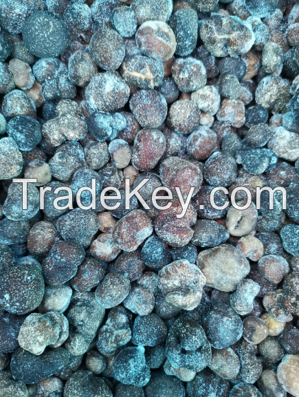 High Quality Black Truffles In Wholesale Price