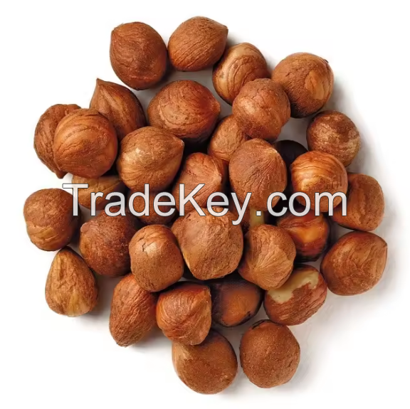 Top Quality Hazelnuts / Hazelnut Nuts in Shell