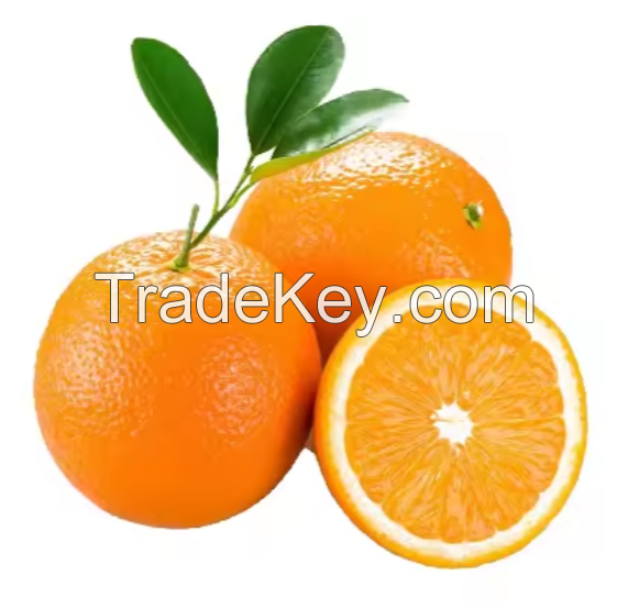 100%Fresh navel orange fruit for sale