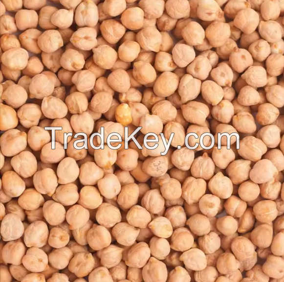 Good Organic Chickpeas from Turkey Wholesale Price