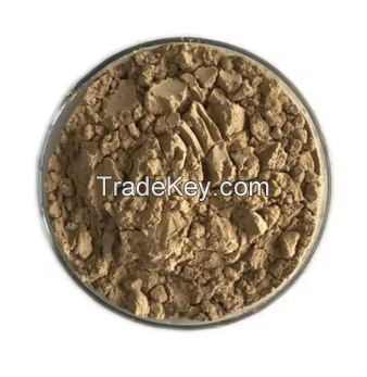 Top-Quality Shitake Powder Of Good Price