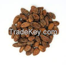 Premium-Quality Dry Cocoa Beans for Baking and Cooking