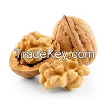 High Quality Walnuts For Sale