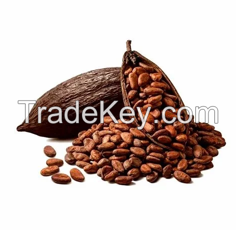 Premium Quality Dried Coca Beans In Good Price