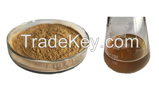 Top-Quality Shitake Powder Of Good Price