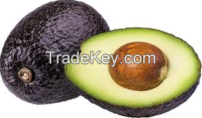 Fresh And Top-Quality Avocados For Sale Cheap Price