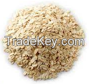 100%Fresh Organic Oats For Exports