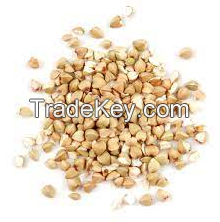 Wholesale Buckwheat/Buckwheat Seeds For Sale 