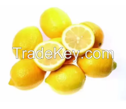 Top-Quality Fresh Juicy Lemons Fruit / Citrus Fruit