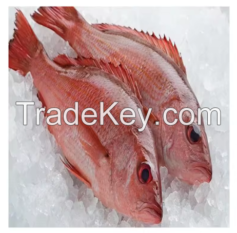 Fresh Frozen Orange Roughy Fish For Sale