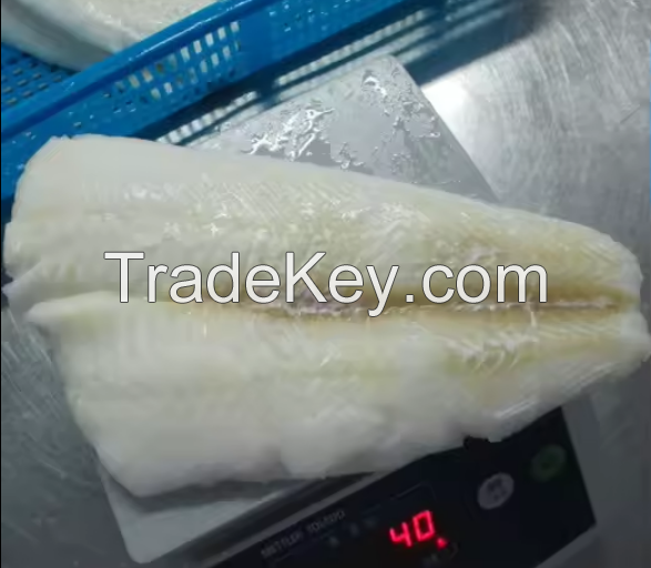 Frozen ATF Fish Arrowtooth Flounder Fillet