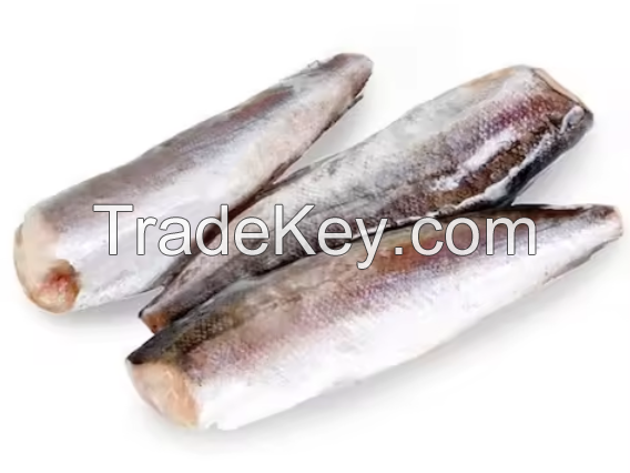 Best Selling Fish Hake Available In Good Price