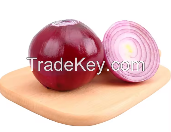 fresh onion import export From Netherland