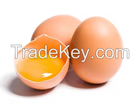 Fresh Chicken Eggs / Round Table Eggs for Sale