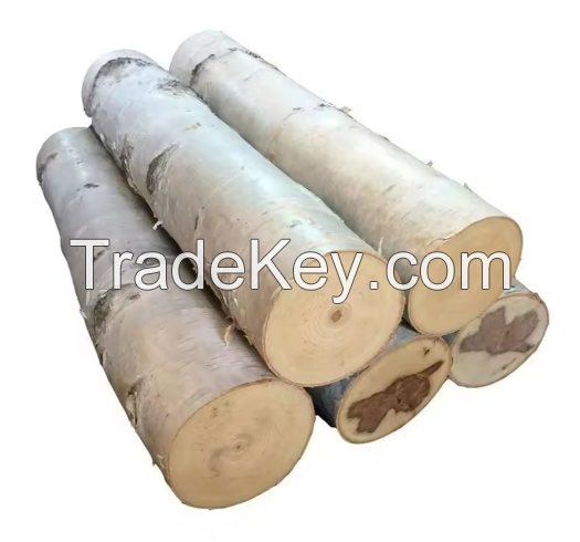 Best Selling Good Quality Wood Timber White Birch Furniture Plank