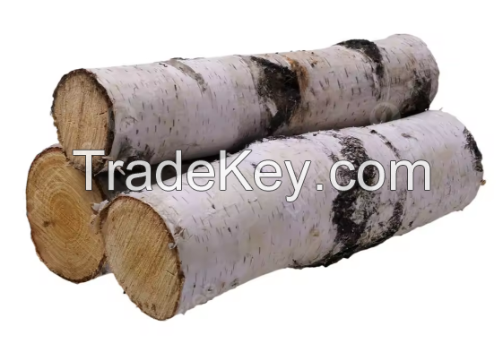 Premium Quality Wood Timber White Birch Plank