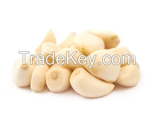 Natural Fresh White Garlic