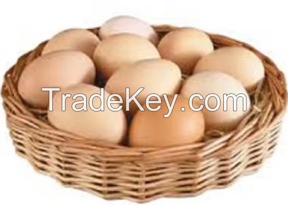 Chicken Table Eggs For Sale / Brown And White Eggs