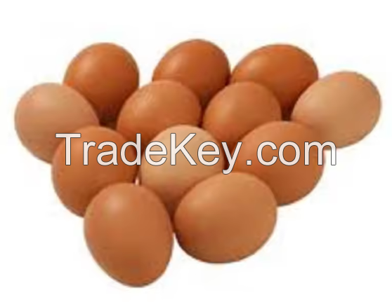 Chicken Table Eggs For Sale / Brown And White Eggs