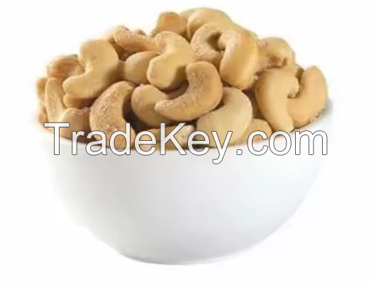 Top High Quality Fresh Cashew Nuts For Supplier