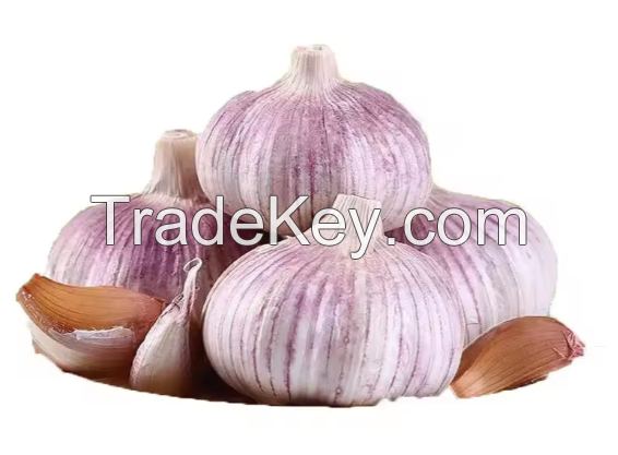 Natural Fresh White Garlic