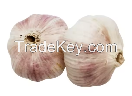 Natural Fresh White Garlic