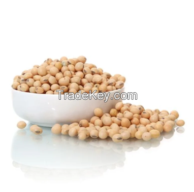 100% Natural Roasted Soybeans with Bulk Packaging